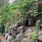 4Br Exec Large House Close To Shops,Train & Buses