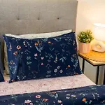 Hot Tub, Ice Bath, Gym, Sauna, Pool Table Coorparoo Haven Homestay