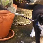 Kingsford Riverside Inn