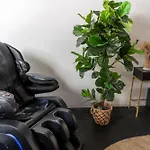 Hot Tub, Ice Bath, Gym, Sauna, Pool Table Coorparoo Haven Homestay