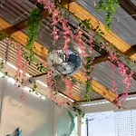 Homestay Hot Tub, Ice Bath, Gym, Sauna, Pool Table Coorparoo Haven *