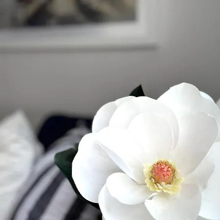 Apartment St Tropez Brisbane