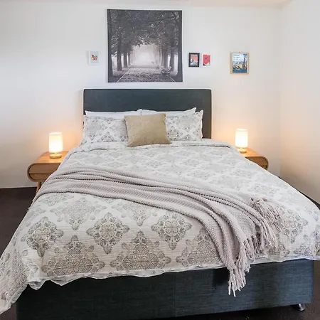 Vista Spring Hill Apartment *