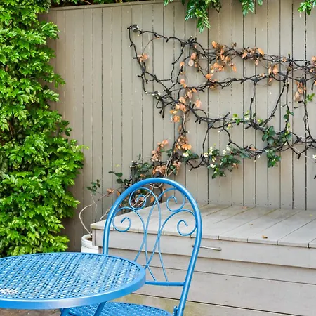 Peaceful Urban Sanctuary