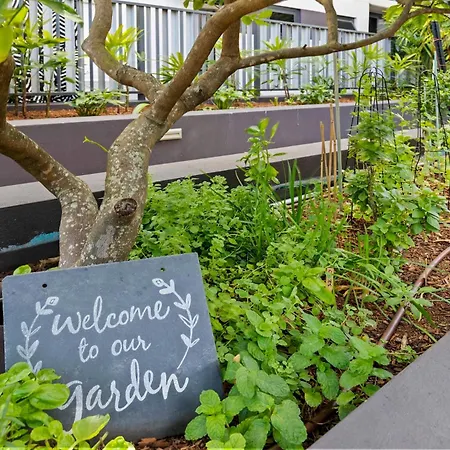Park View Retreat -pool - 2 Min Walk Stones Corner Apartment Brisbane