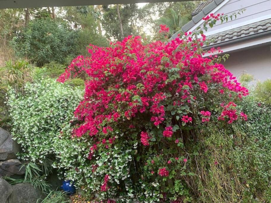 4br Exec Large House Close To Shops,train & Buses