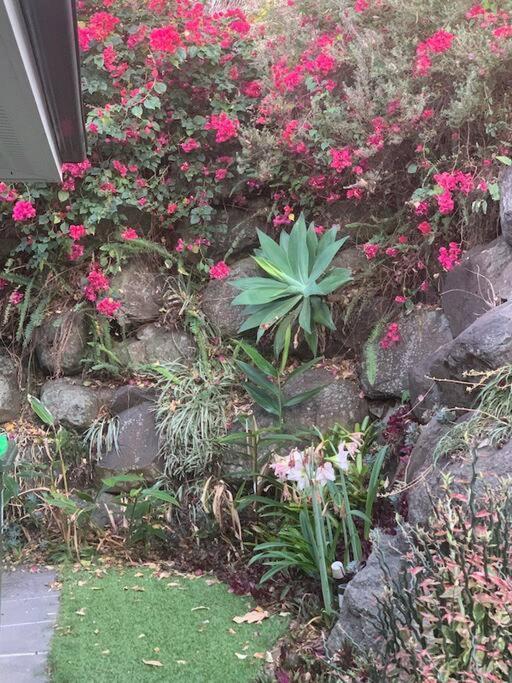 Villa 4br Exec Large House Close To Shops,train & Buses *