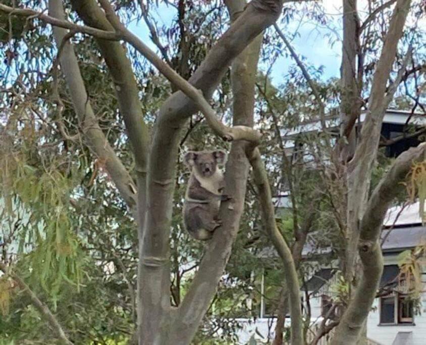 Adorable Private 2 Bedroom Guest + Pool Apartment *