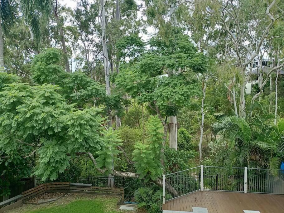 Adorable Private 2 Bedroom Guest + Pool Brisbane