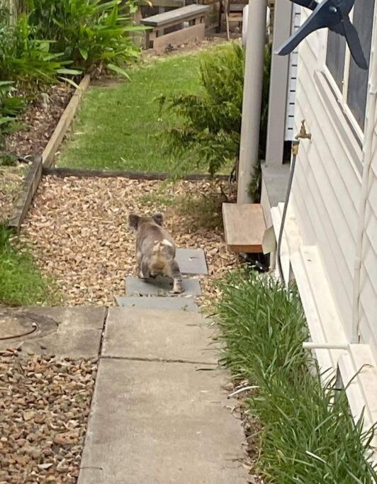 Adorable Private 2 Bedroom Guest + Pool