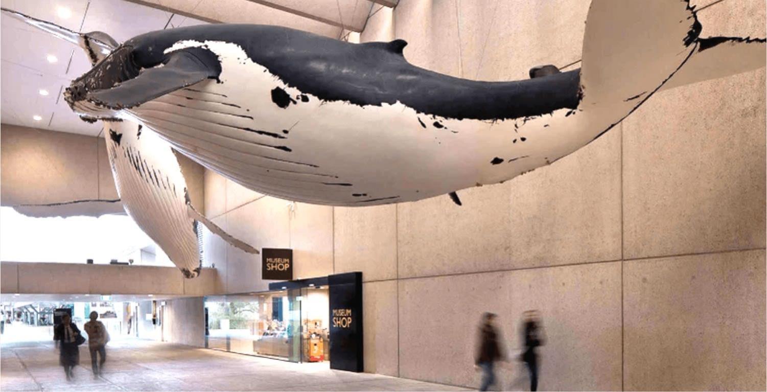 Explore Bne From Our Cute 1-bed In South Apartment *