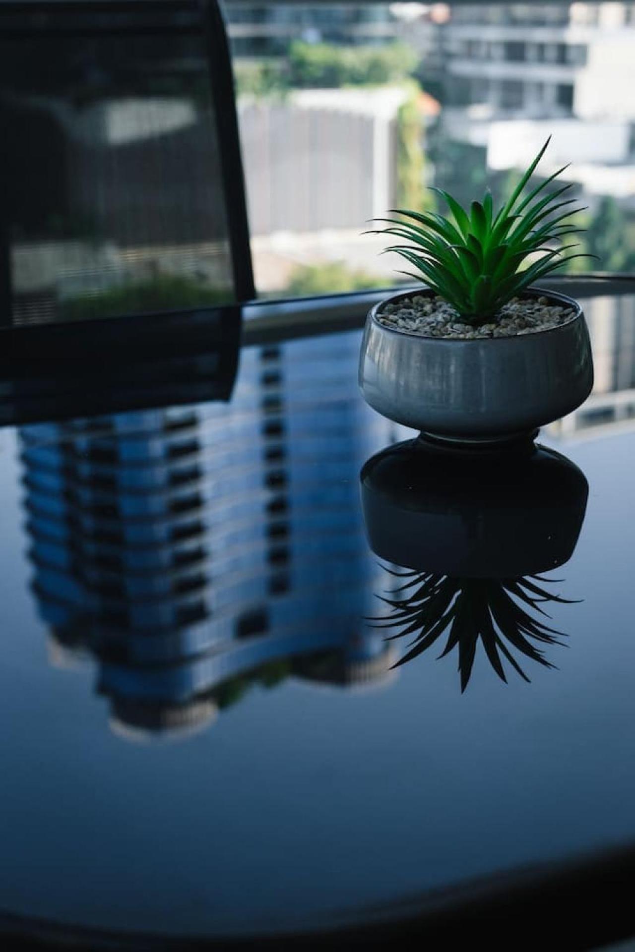 Near Southbank And Cbd Stylish 2br Pool And Park * Brisbane