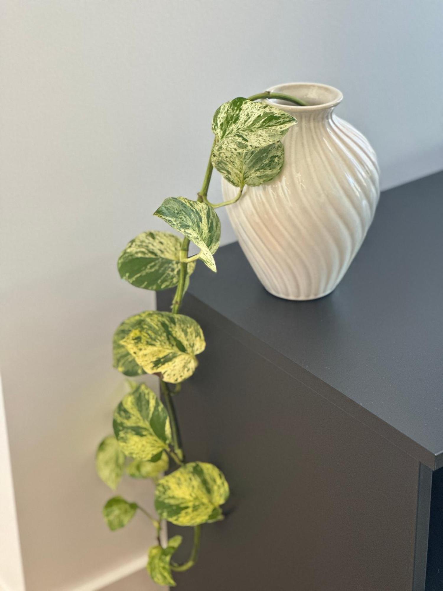 Apartment Cbd Luxury 8 Margaret St Brisbane