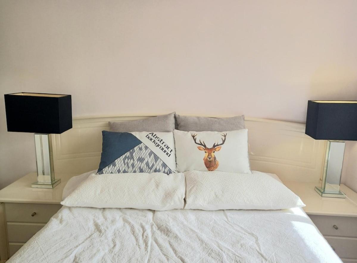 Guest house Air Conditioned Floral Youth Backpacker And House *