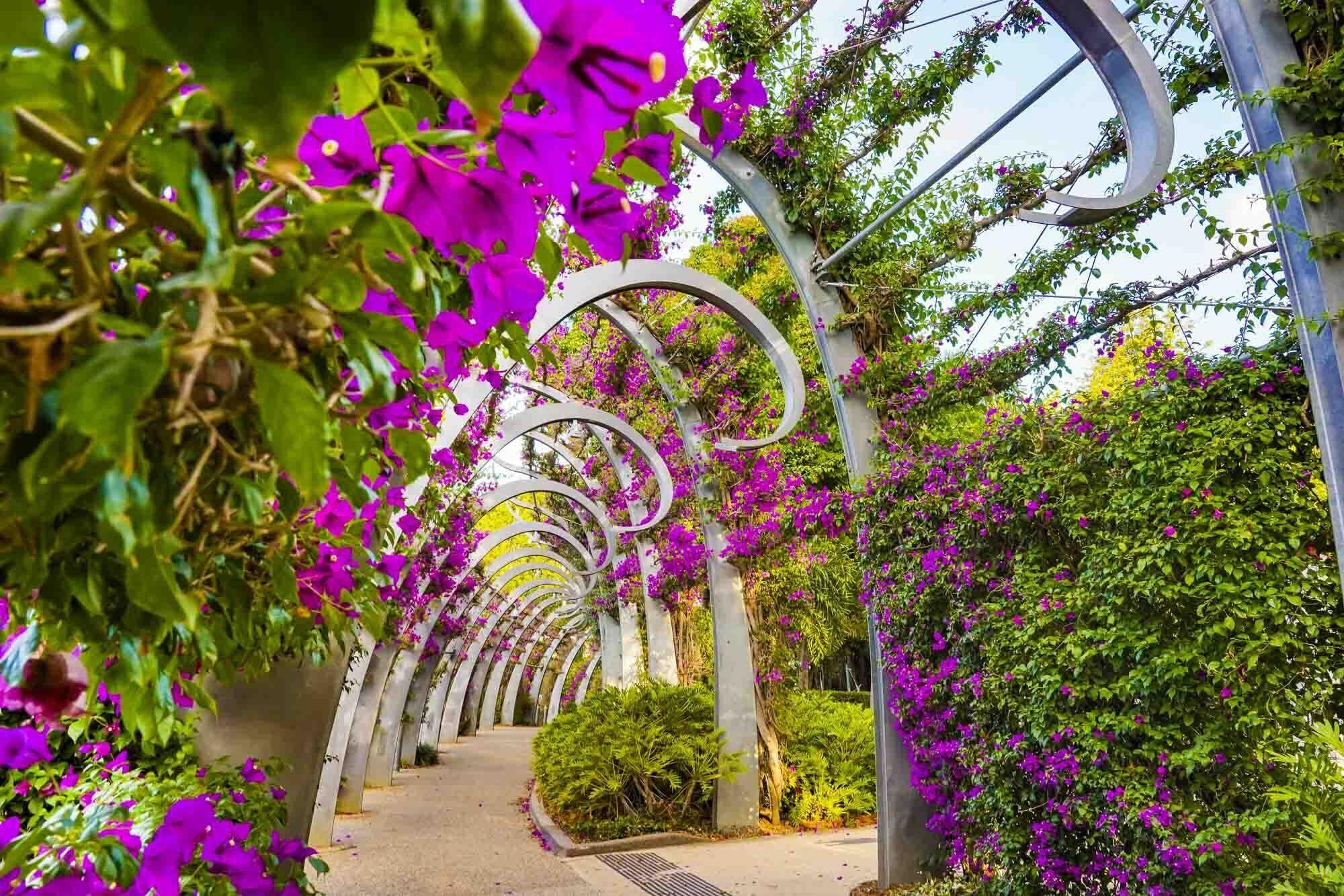 Opera South Brisbane