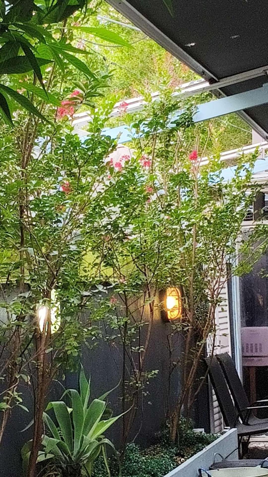 Cliffinn Kangaroo Point Hotel