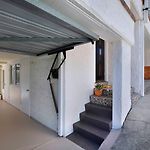 Tropical Dreaming In The Heart Of Indooroopilly