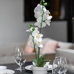 South Brisbane 2B2B Apt&Parking M6