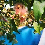 Holiday home Oxley Mineral Pool & Private Suburbanstay *