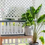 Apartment Quaint & Cosy 1 Bedroom In Queenslander. Brisbane