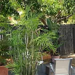 Charming 1920's 4br Freestanding Plantation Qldr.