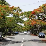 Art Deco In Ascot! ~ 2 Bed / 1 Bath / 1 Car