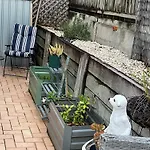 Yeronga Hideaway