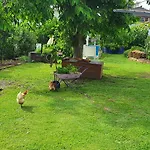 Sustainable B&B By The Bay