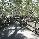 Brisbane Bay Home Stay