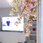 Apartment King Bedroom In Shared 3l *