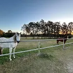 7 Bedrooms 20 Mins To City 25 Acres Of Green Space