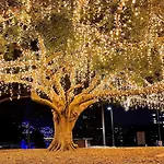 Creative East Brisbane Escape Balcony & Parking