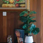 Charming 4br House With Parking Near Sunnybank Brisbane