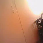 Grizzly Damo\'S Nft Gallery Apartment