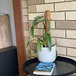 3br Comfy Home, Gym & Garden In * The Gap