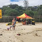 Brisbane 1960S Pool House - Hosted Bed And Breakfast