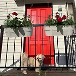 Apartment Family And Pet Friendly In Brisbane