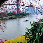 Hotel Cliffinn Kangaroo Point Brisbane