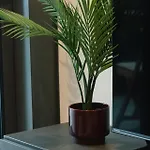 1b Queens Wharf Luxury Apartment *