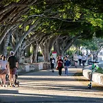 Million Dollar Views And Best Location! Walk To Cbd!