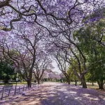Intercontinental Brisbane By Ihg