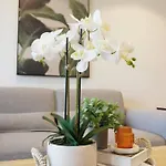 Skyline Poetry - Premium On The Star Bne Apartment