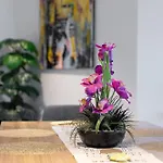 Huge 3bed 3bath Skyhigh View Apartment