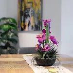 Huge 3bed 3bath Skyhigh View Apartment Brisbane