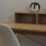 Open 1 Bedroom Apartment In Brisbane City
