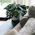 Cassa Aura Place - Modern 4br Homes Holiday home Brisbane