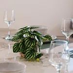 Cassa Aura Place - Modern 4br Homes Holiday home Brisbane