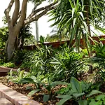 The Waterloo Bay Hotel