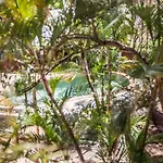 Somewhere To Stay Backpackers