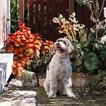 Miss Midgley\'S - Refectory